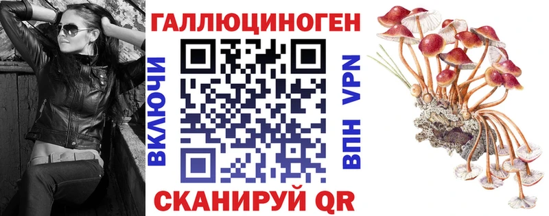 Галлюциногенные грибы MAGIC MUSHROOMS  Калининск 